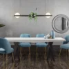 Swell Velvet Dining Chair