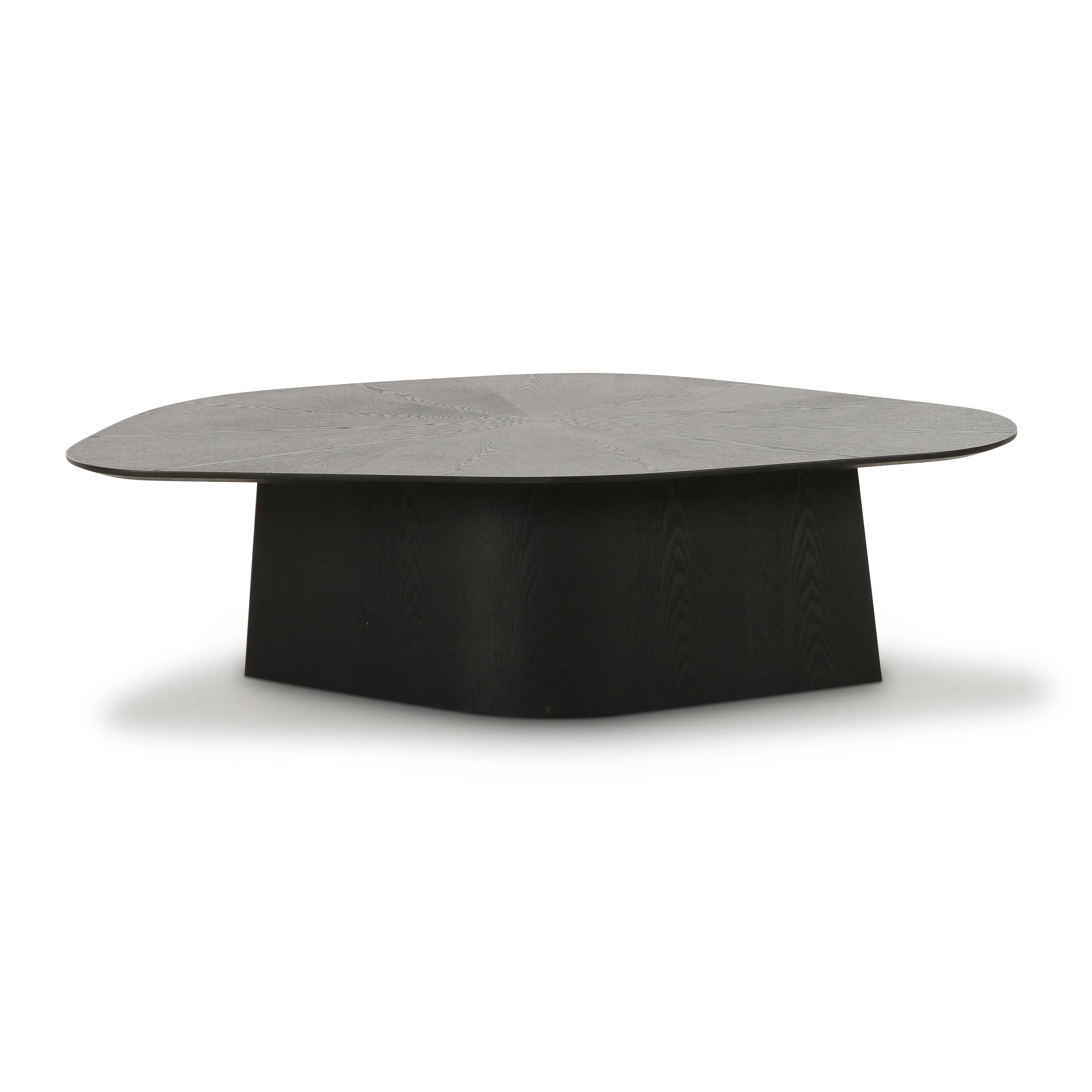 Roche Ash Geometric Coffee Table 19 Roche Ash Geometric Coffee Table